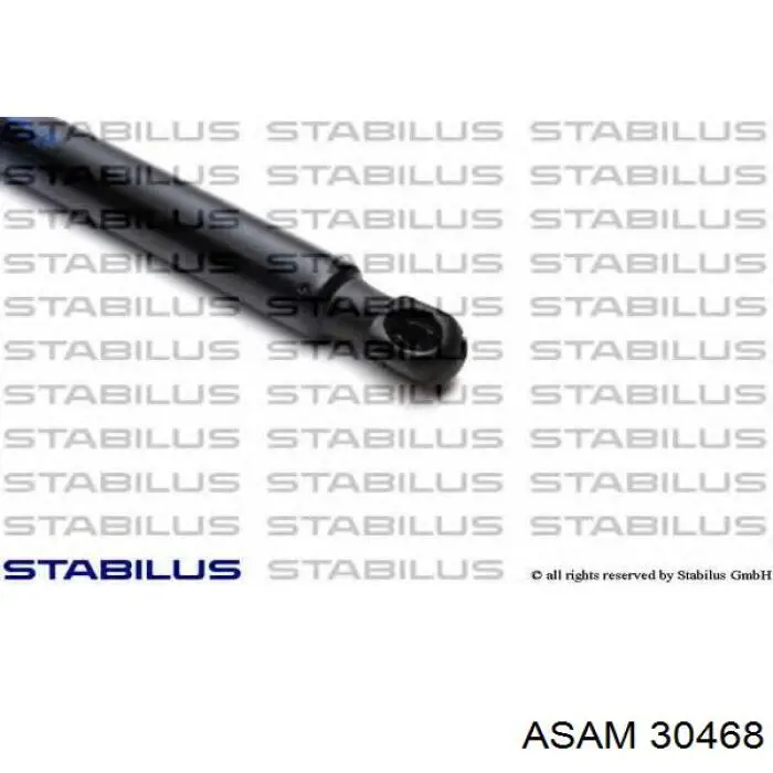 Купити 30468 Asam Амортизатор двері багажника