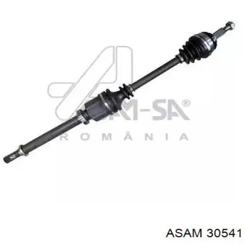 Купити 30541 Asam Піввісь права