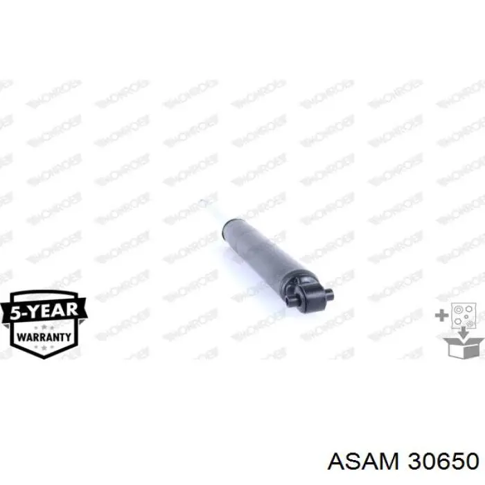30650 Asam генератор