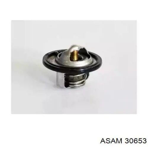 Купити 30653 Asam Термостат в корпусі
