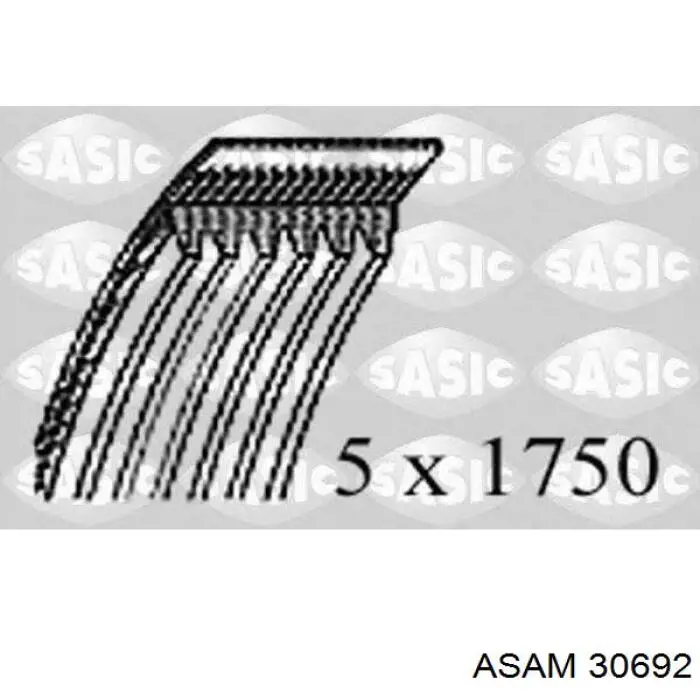 Купити 30692 Asam Ремінь генератора