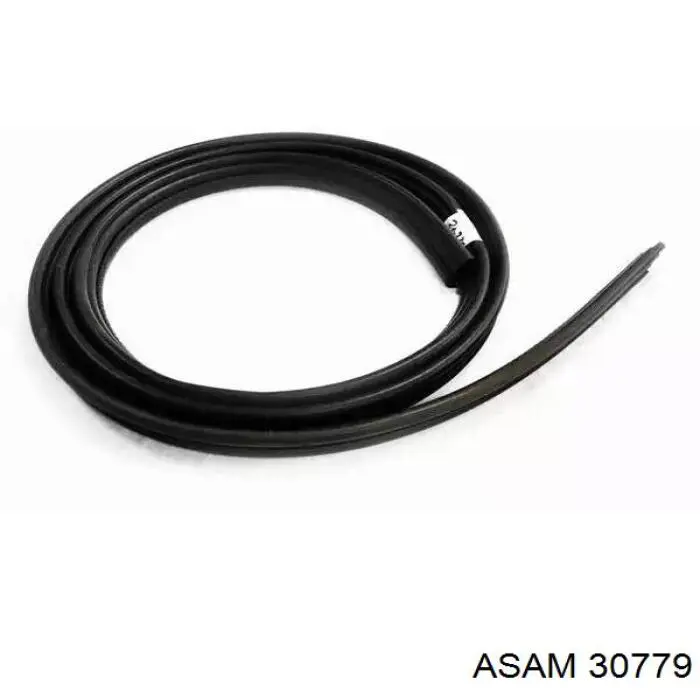 Купити 6001547017 Renault (RVI) Ущільнення (передніх) дверей