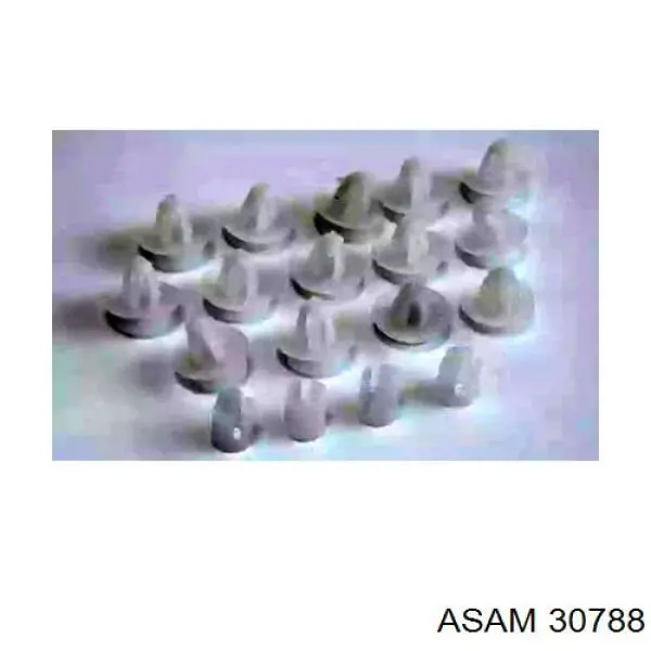  Asam 30788 ціна, від 1.72 USD