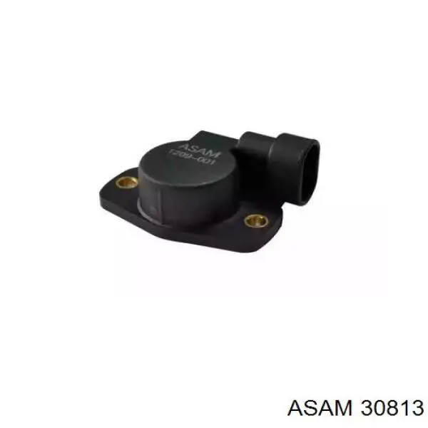 30813 Asam датчик положення дросельної заслінки (потенціометр)