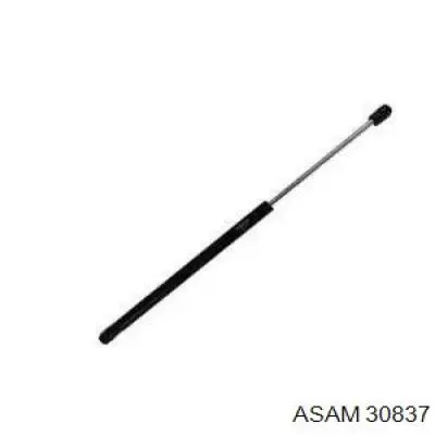 Купити 30837 Asam Амортизатор двері багажника