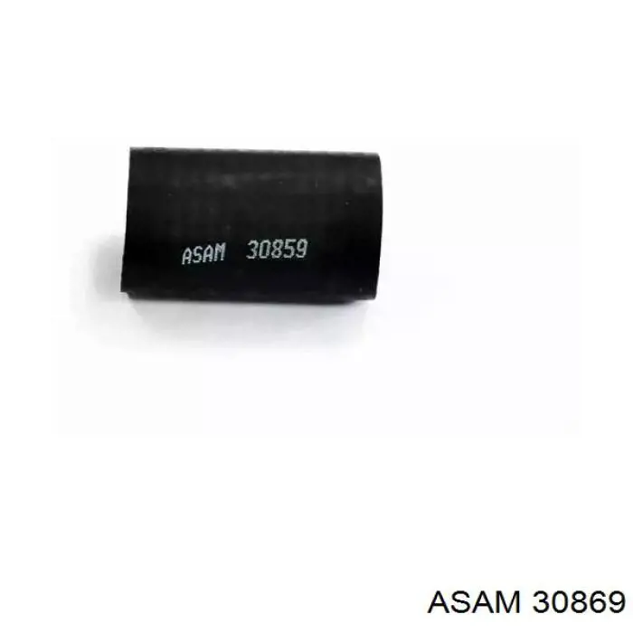 Патрубок повітряний, вихід з турбіни (наддув) Asam 30869 ціна, від 11.60 USD