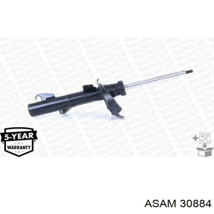 30884 Asam 