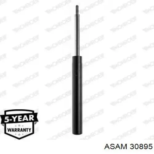 30895 Asam 
