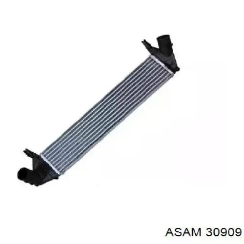 30909 Asam радіатор интеркуллера