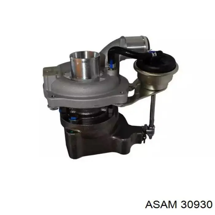 Купити 30930 Asam Турбіна