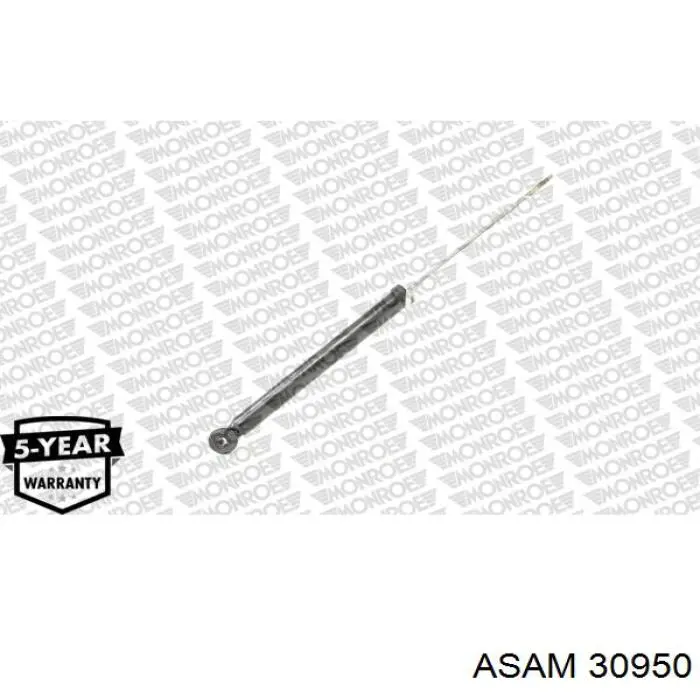Купити 30950 Asam Стійка амортизатора задня