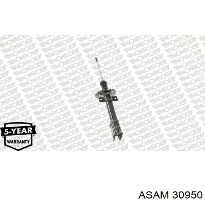 Амортизатор задній Asam 30950 ціна, від 39.57 USD