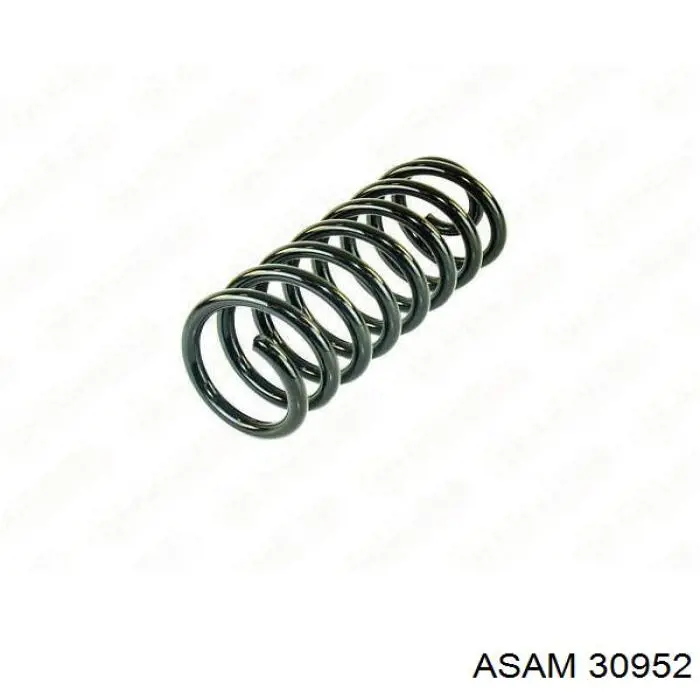 Купити 30952 Asam Задні пружини