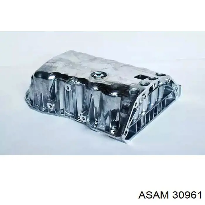 Купити 30961 Asam Захист двигуна