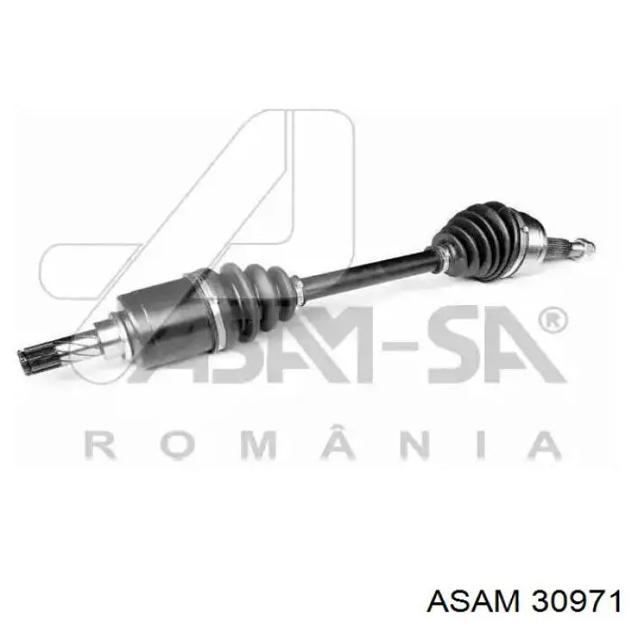 Купити 30971 Asam Ліва піввісь