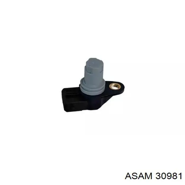 30981 Asam ДПКВ