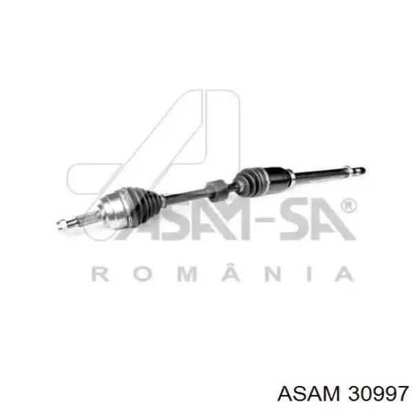 Купити 30997 Asam Піввісь права