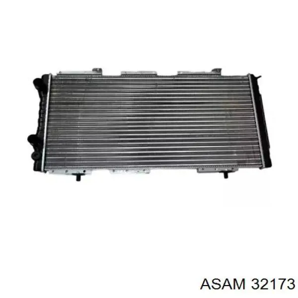32173 Asam Радіатор охолодження двигуна