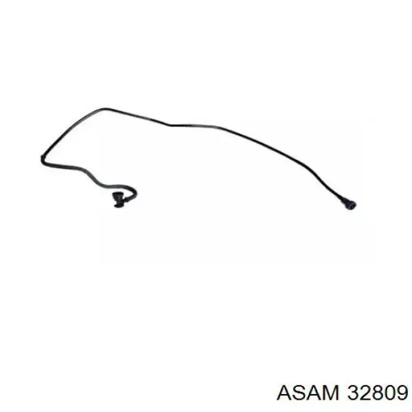 Трубка паливна, від фільтра до паливної рейки Asam 32809 ціна, від 18.35 USD