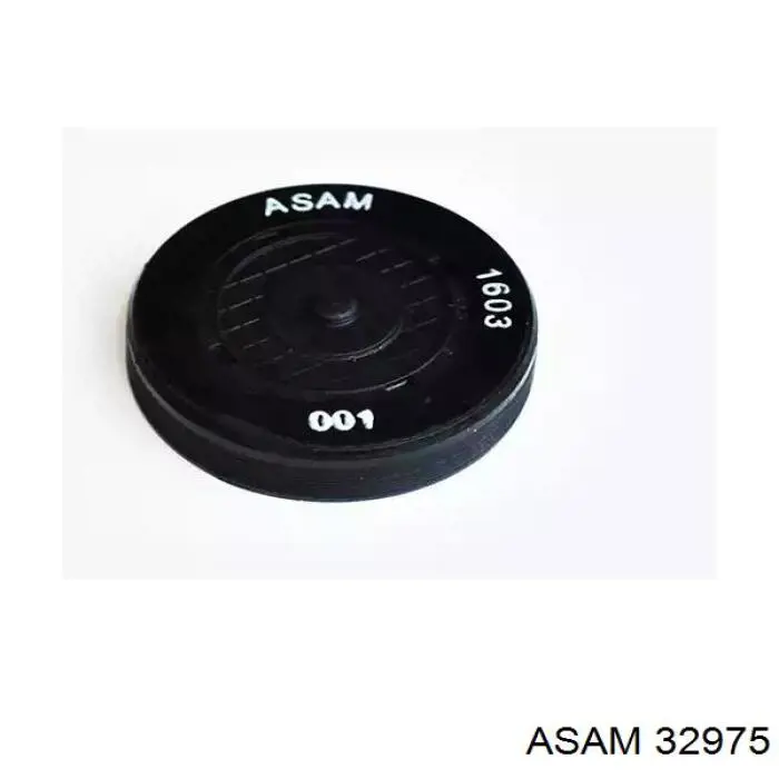 Заглушка ГБЦ/блоку циліндрів Asam 32975 ціна, від 1.99 USD