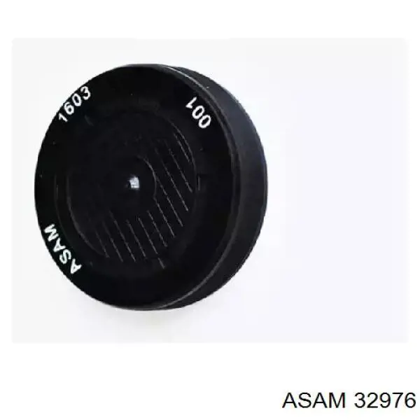 Заглушка ГБЦ/блоку циліндрів Asam 32976 ціна, від 2.73 USD