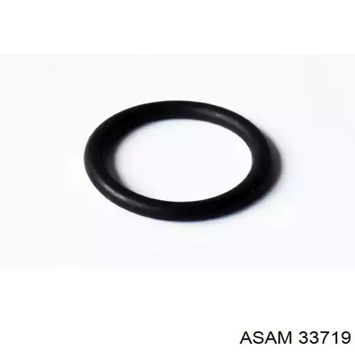 Купити 33719 Asam Ущільнення для патрубка помпи