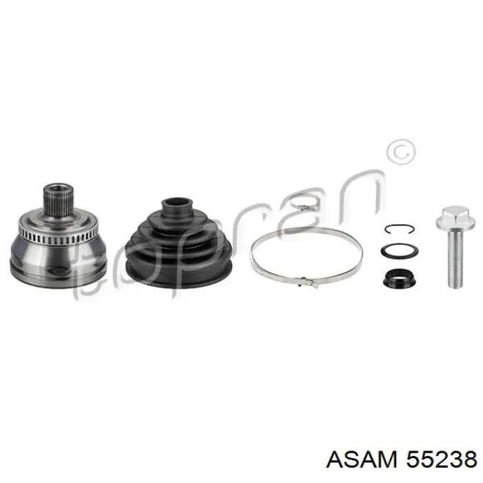 55238 Asam Граната зовнішня