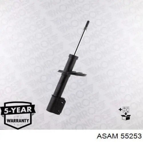 RS315264 Raiso Стійка передня