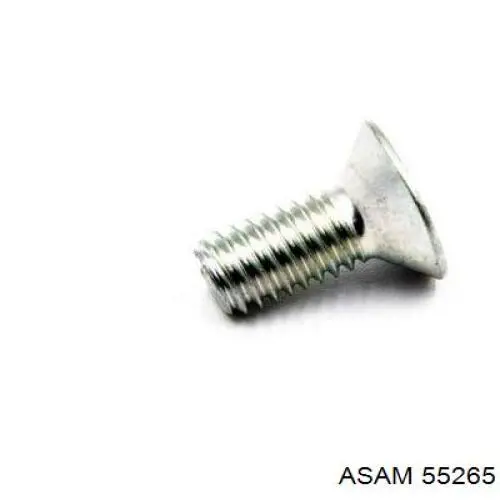 Підкрилки передні праві Asam 55265