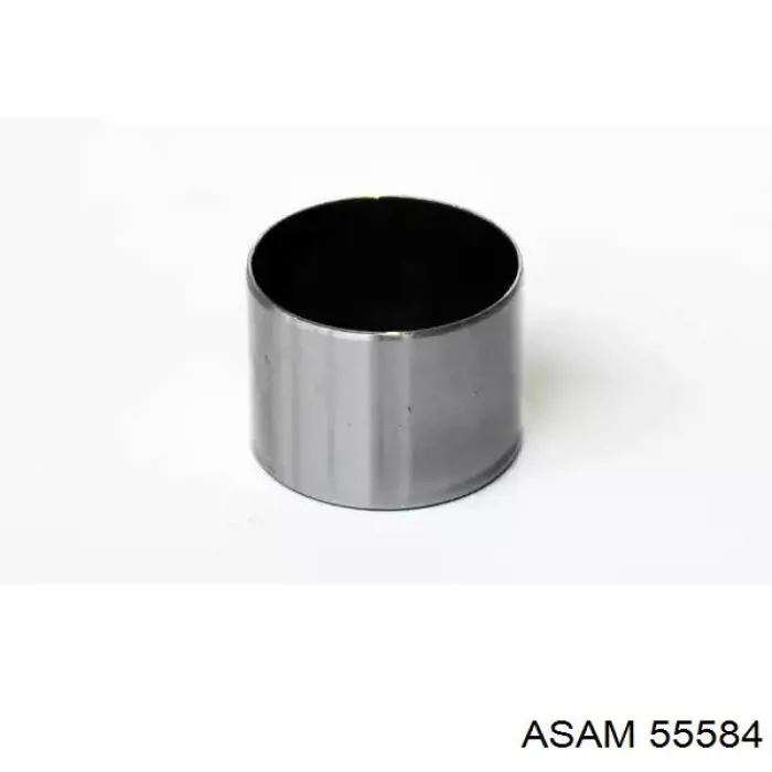 Купити 55584 Asam Штовхач клапанів двигуна