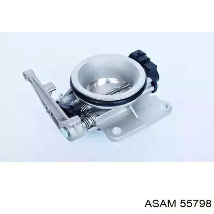 Купити 55798 Asam Дросільна заслінка