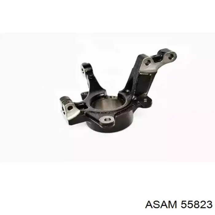 Цапфа поворотна ліва Asam 55823 ціна, від 55.36 USD