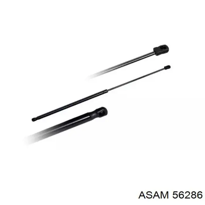 Амортизатор двері задньої Asam 56286 ціна, від 8.24 USD