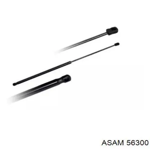 Амортизатор двері задньої Asam 56300 ціна, від 8.15 USD