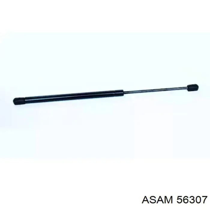 Амортизатор двері задньої Asam 56307 ціна, від 10.55 USD