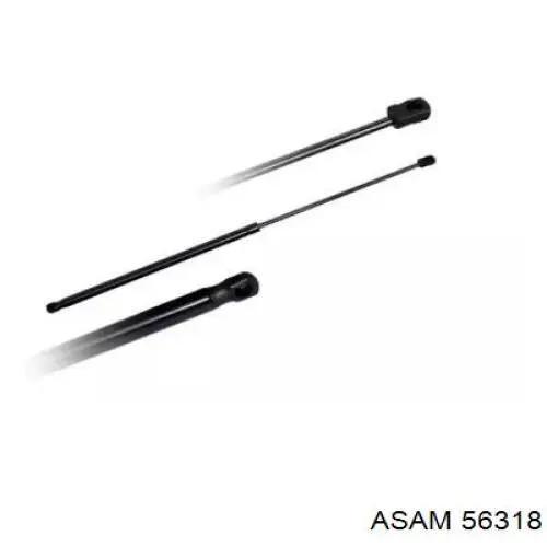 Амортизатор багажника 56318 Asam