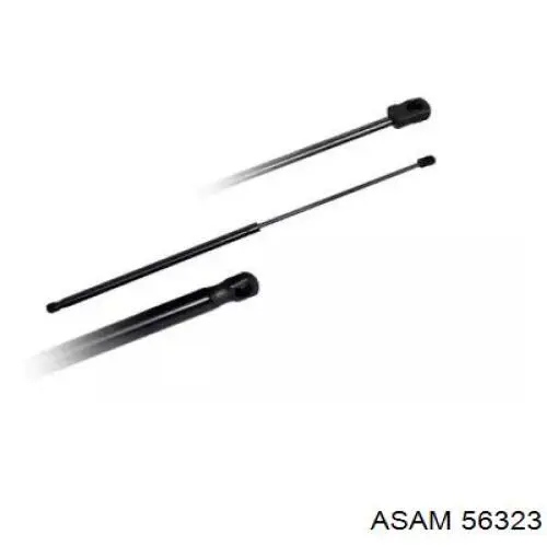 Амортизатор двері задньої Asam 56323 ціна, від 7.50 USD