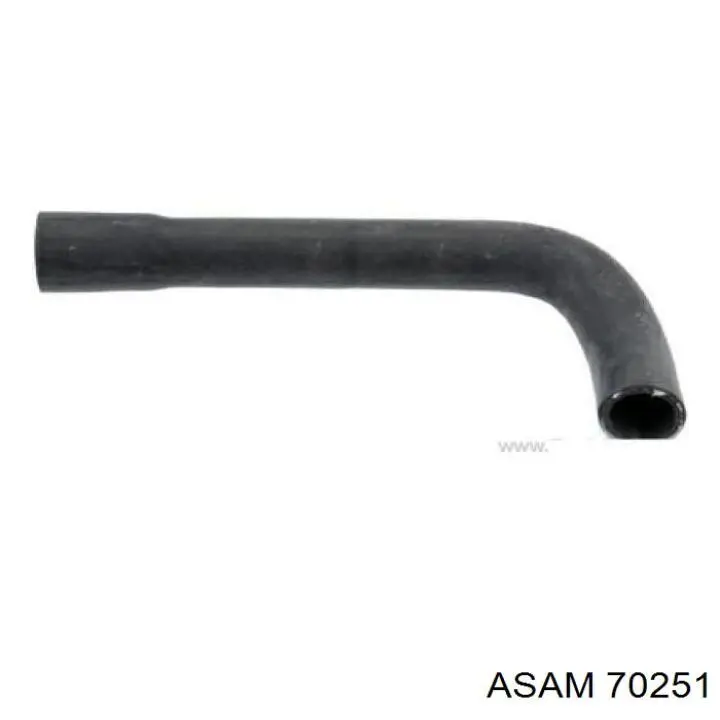 Фільтр тонкого очищення палива Asam 70251 ціна, від 5.75 USD
