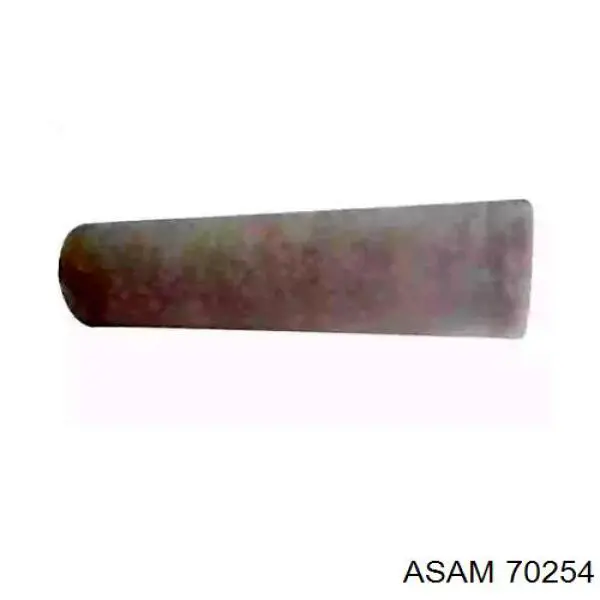 Повітряний фільтр 70254 Asam