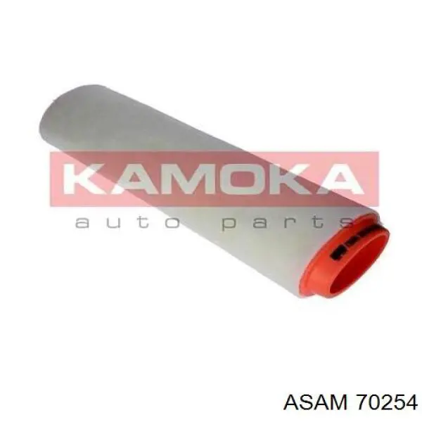 Купити 70254 Asam Автомобільний фільтр повітря
