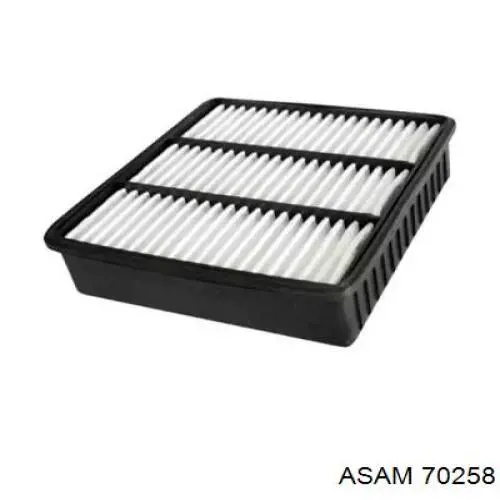 Фільтр повітряний Asam 70258