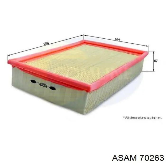 Повітряний фільтр 70263 Asam