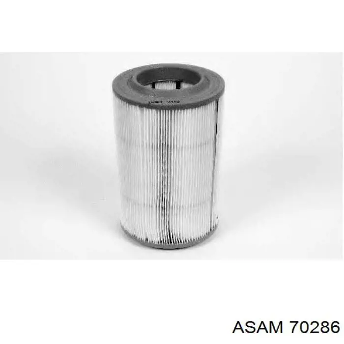 Повітряний фільтр 70286 Asam