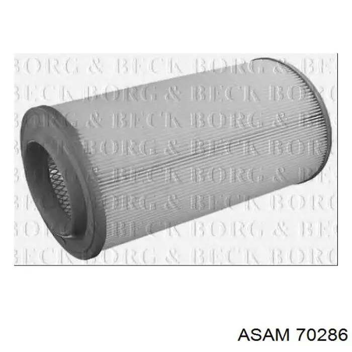 Купити 70286 Asam Автомобільний фільтр повітря