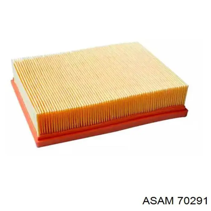 Купити 70291 Asam Автомобільний фільтр повітря