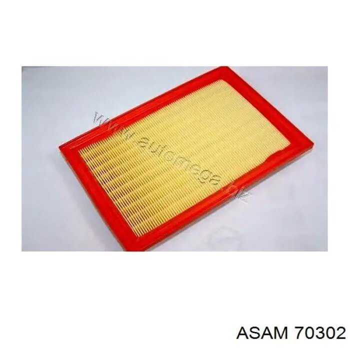 Повітряний фільтр 70302 Asam