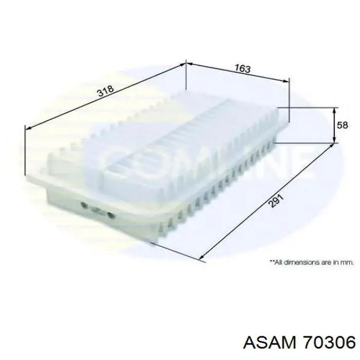 Купити 70306 Asam Автомобільний фільтр повітря
