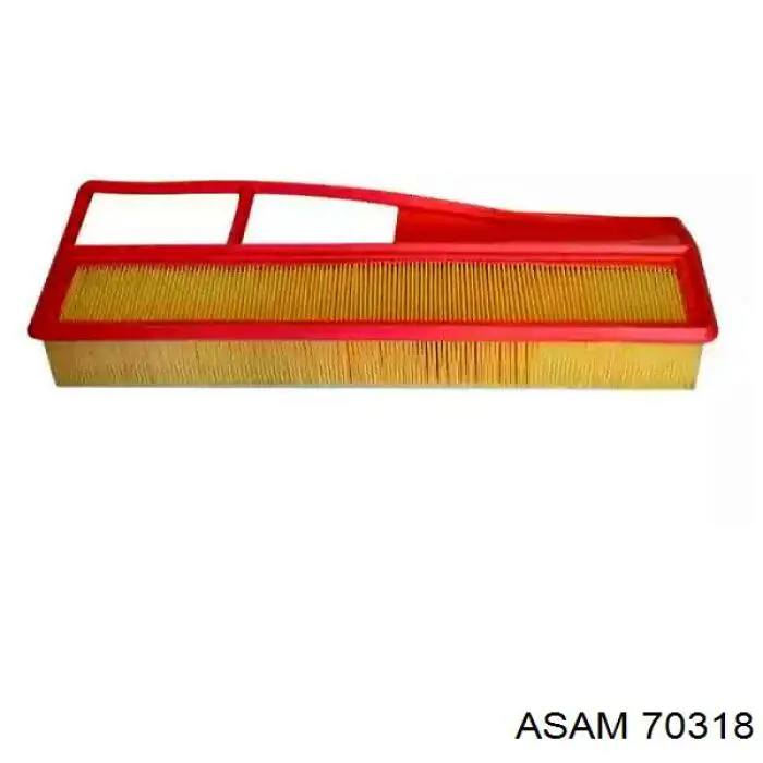 Купити 70318 Asam Автомобільний фільтр повітря