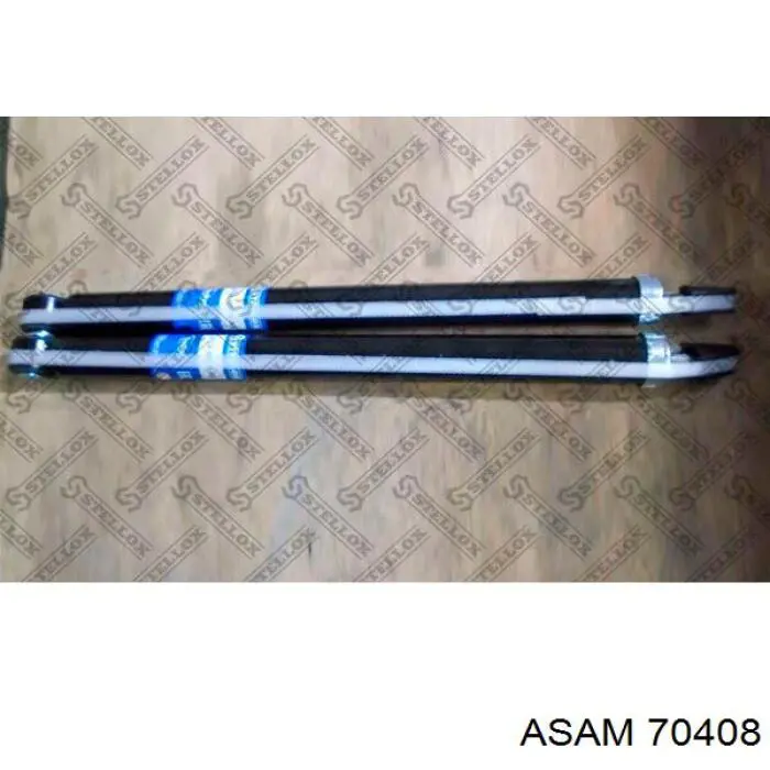 Задній амортизатор Asam 70408