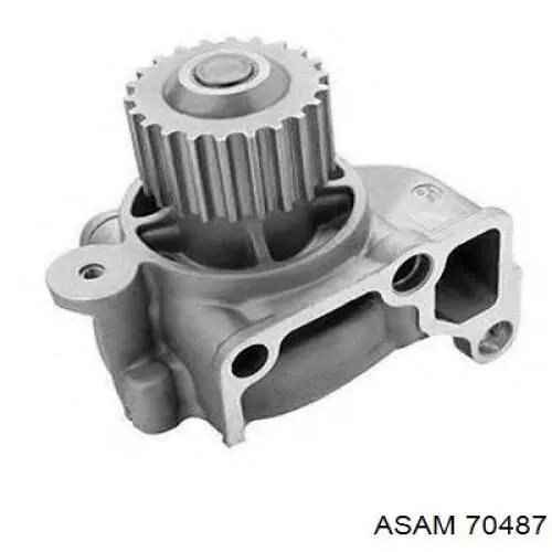 Помпа 70487 Asam